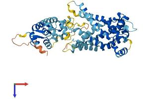 AlphaFold protein structure predicition of Human Recombinant SLC25A24 Protein, UniprotID Q6NUK1