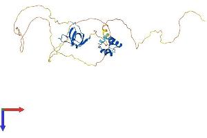 AlphaFold protein structure predicition of Mouse Recombinant Samsn1 Protein, UniprotID P57725