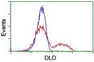 HEK293T cells transfected with either RC200639 overexpress plasmid (Red) or empty vector control plasmid (Blue) were immunostained by anti-DLD antibody (ABIN2454924), and then analyzed by flow cytometry. (DLD anticorps)