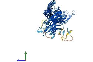 AlphaFold protein structure predicition of Human Recombinant TRIM51 Protein, UniprotID Q9BSJ1