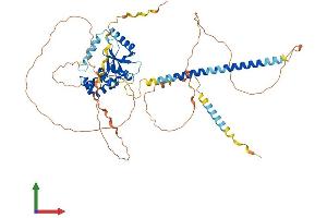 AlphaFold protein structure predicition of Human Recombinant OTUD5 Protein, UniprotID Q96G74
