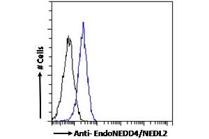 ABIN185281 Flow cytometric analysis of paraformaldehyde fixed A549 cells (blue line), permeabilized with 0. (HECW2 anticorps  (N-Term))