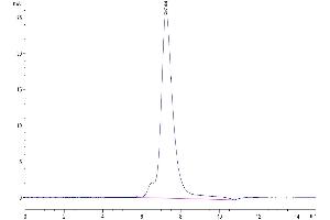 The purity of Biotinylated Human IL-2 R alpha is greater than 95 % as determined by SEC-HPLC.