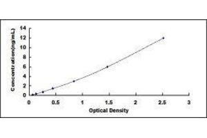 Typical standard curve (MASP2 Kit ELISA)