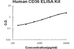 Human CD36/SR-B3 PicoKine ELISA Kit standard curve (CD36 Kit ELISA)