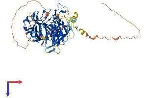 AlphaFold protein structure predicition of Human Recombinant RAG2 Protein, UniprotID P55895