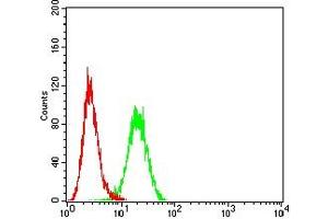 Flow cytometric analysis of Hepg2 cells using CLDN6 mouse mAb (green) and negative control (red).
