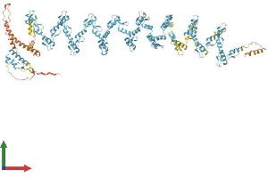 AlphaFold protein structure predicition of Human Recombinant ZNF91 Protein, UniprotID Q05481