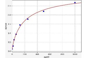 Basigin (Ok Blood Group) (BSG) ELISA Kit