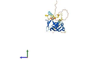 AlphaFold protein structure predicition of Mouse Recombinant Nrip3 Protein, UniprotID Q9JJR9