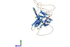 AlphaFold protein structure predicition of Human Recombinant GIT1 Protein, UniprotID Q9Y2X7