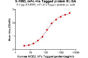 ELISA plate pre-coated by 2 μg/mL (100 μL/well) S-RBD, mFc-His tagged protein (ABIN6961147) can bind Human ACE2, hFc Tagged protein(ABIN6961131) in a linear range of 0. (SARS-CoV-2 Spike Protein (RBD) (mFc-His Tag))