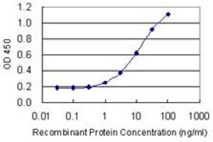 Detection limit for recombinant GST tagged RLF is 0. (RLF anticorps  (AA 1805-1913))