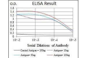 Black line: Control Antigen (100 ng), Purple line: Antigen(10 ng), Blue line: Antigen (50 ng), Red line: Antigen (100 ng),