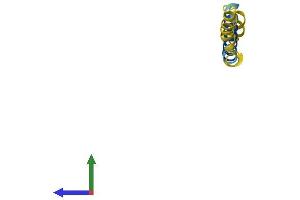 AlphaFold protein structure predicition of Human Recombinant CTXN3 Protein, UniprotID Q4LDR2