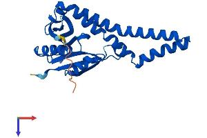 AlphaFold protein structure predicition of Mouse Recombinant Nat8b-ps Protein, UniprotID E0CYC6