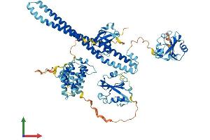 AlphaFold protein structure predicition of Human Recombinant PIK3R2 Protein, UniprotID O00459