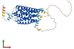 AlphaFold protein structure predicition of Mouse Recombinant Nmur2 Protein, UniprotID Q8BZ39
