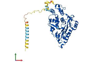 AlphaFold protein structure predicition of Human Recombinant B3GNT2 Protein, UniprotID Q9NY97