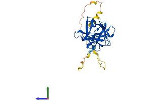 AlphaFold protein structure predicition of Mouse Recombinant Fgf11 Protein, UniprotID P70378