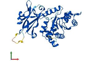 AlphaFold protein structure predicition of Mouse Recombinant Epm2a Protein, UniprotID Q9WUA5