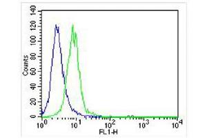 Overlay histogram showing NIH/3T3 cells stained with (ABIN6243361 and ABIN6577105) (green line).
