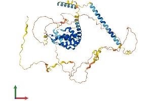 AlphaFold protein structure predicition of Human Recombinant EPN1 Protein, UniprotID Q9Y6I3