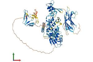 AlphaFold protein structure predicition of Mouse Recombinant Smurf1 Protein, UniprotID Q9CUN6