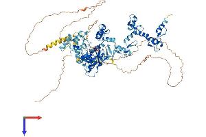 AlphaFold protein structure predicition of Mouse Recombinant Prdm9 Protein, UniprotID Q96EQ9