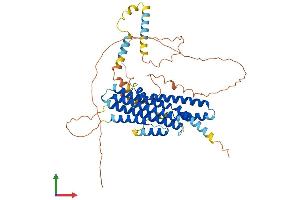 AlphaFold protein structure predicition of Human Recombinant FAM114A2 Protein, UniprotID Q9NRY5