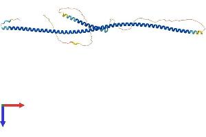 AlphaFold protein structure predicition of Human Recombinant NDEL1 Protein, UniprotID Q9GZM8