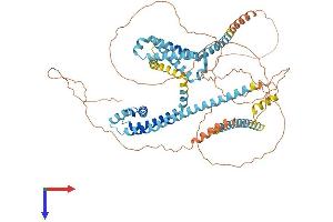 AlphaFold protein structure predicition of Mouse Recombinant Catsper1 Protein, UniprotID Q91ZR5