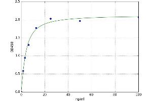 A typical standard curve