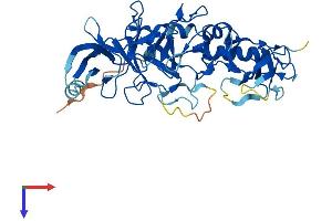 AlphaFold protein structure predicition of Mouse Recombinant Peli2 Protein, UniprotID Q8BST6