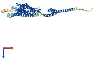 AlphaFold protein structure predicition of Mouse Recombinant Kcnn4 Protein, UniprotID O89109