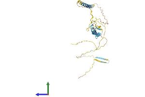 AlphaFold protein structure predicition of Human Recombinant LYSMD4 Protein, UniprotID Q5XG99