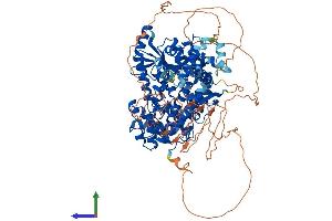 AlphaFold protein structure predicition of Human Recombinant FAM120B Protein, UniprotID Q96EK7