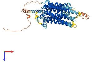 AlphaFold protein structure predicition of Mouse Recombinant Mfsd2a Protein, UniprotID Q9DA75