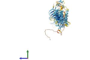 AlphaFold protein structure predicition of Mouse Recombinant Hps6 Protein, UniprotID Q8BLY7