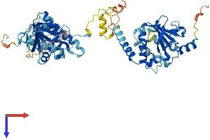AlphaFold protein structure predicition of Mouse Recombinant Gdap2 Protein, UniprotID Q9DBL2