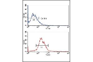 Flow cytometric analysis of MCF-7 cells using KLF4 Monoclonal Antibody (bottom histogram) compared to a negative control (top histogram). (KLF4 anticorps)