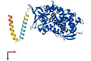 AlphaFold protein structure predicition of Mouse Recombinant Cyp51a1 Protein, UniprotID Q8K0C4