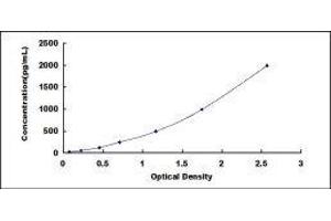 ELISA image for Bone Morphogenetic Protein 2 (BMP2) ELISA Kit (ABIN416053)