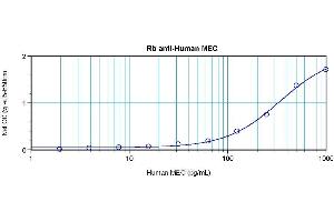 Sandwich ELISA using MEC / CCL28 antibody (CCL28 anticorps)