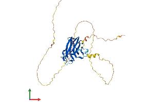 AlphaFold protein structure predicition of Mouse Recombinant Rims3 Protein, UniprotID Q80U57