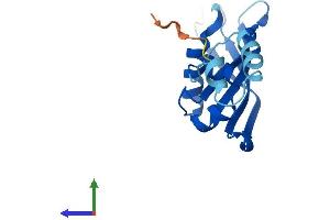 AlphaFold protein structure predicition of Human Recombinant RPS24 Protein, UniprotID P62847