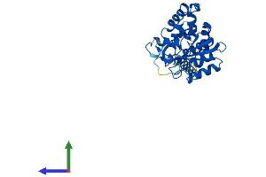 AlphaFold protein structure predicition of Mouse Recombinant Cd38 Protein, UniprotID P56528