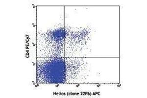 Flow Cytometry (FACS) image for anti-IKAROS Family Zinc Finger 2 (IKZF2) antibody (APC) (ABIN2658755)