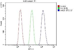 Flow Cytometry analysis of HEPA1-6 cells using anti-NHEJ1 antibody (ABIN7599198). (NHEJ1 anticorps  (AA 1-273))