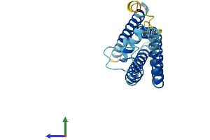 AlphaFold protein structure predicition of Human Recombinant TSPAN2 Protein, UniprotID O60636